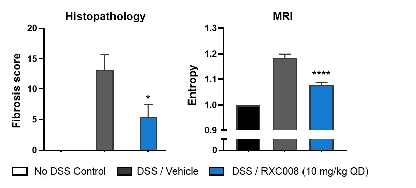figure14a.jpg