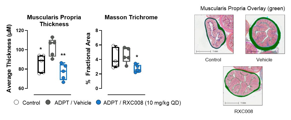 figure17a.jpg
