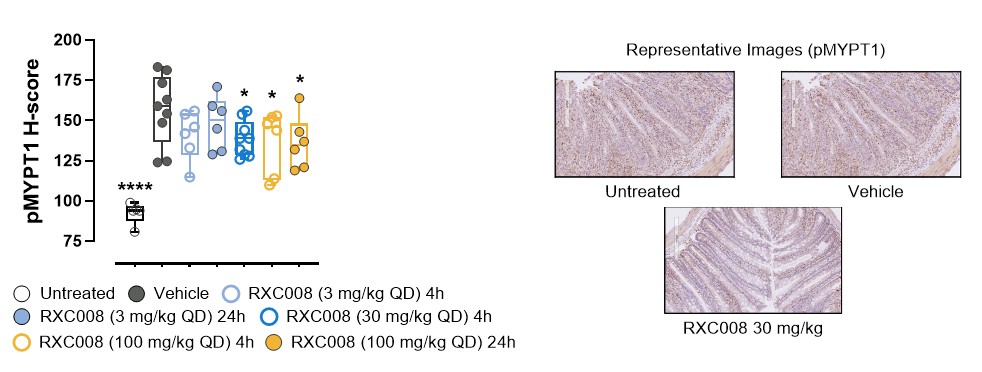 figure19a.jpg