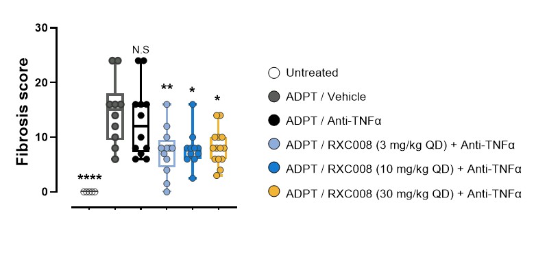 figure20a.jpg