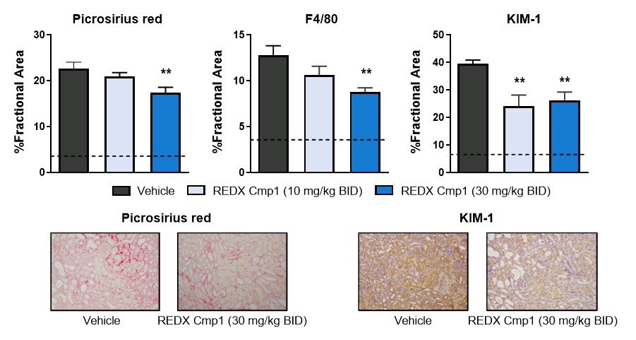 figure31a.jpg