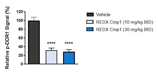 figure32a.jpg