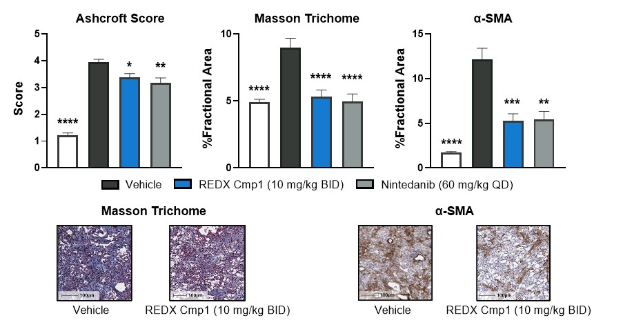 figure33a.jpg