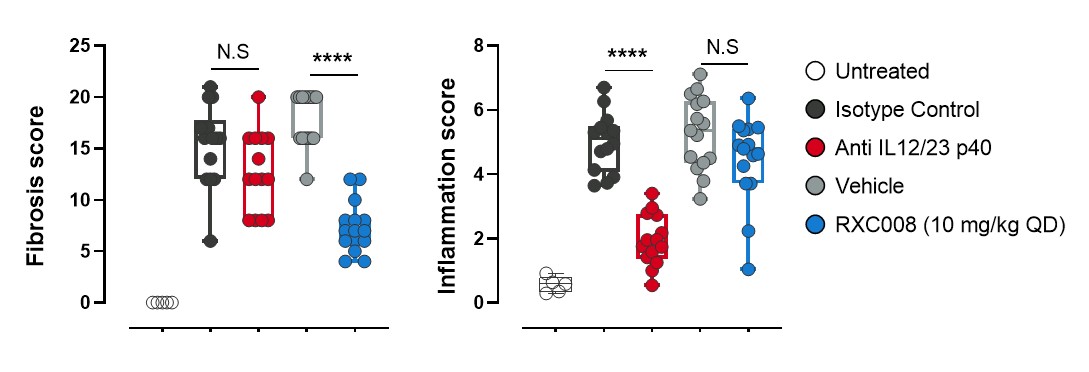 figure16.jpg