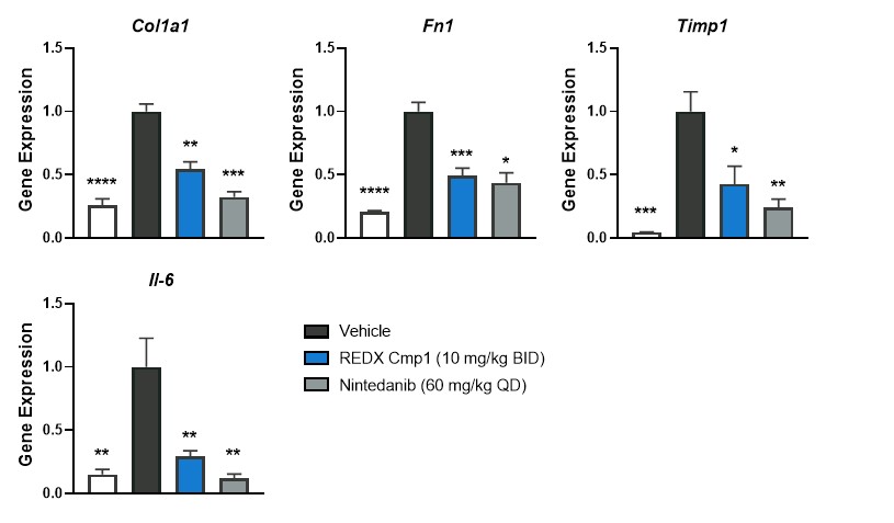 figure34.jpg